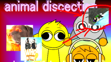 animal discection